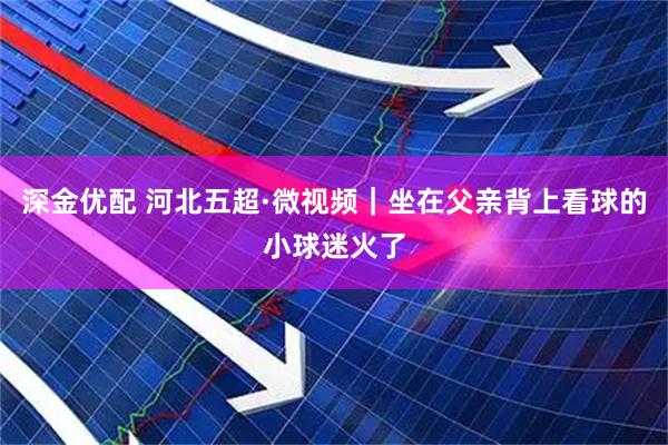 深金优配 河北五超·微视频｜坐在父亲背上看球的小球迷火了