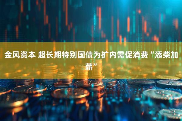 金风资本 超长期特别国债为扩内需促消费“添柴加薪”