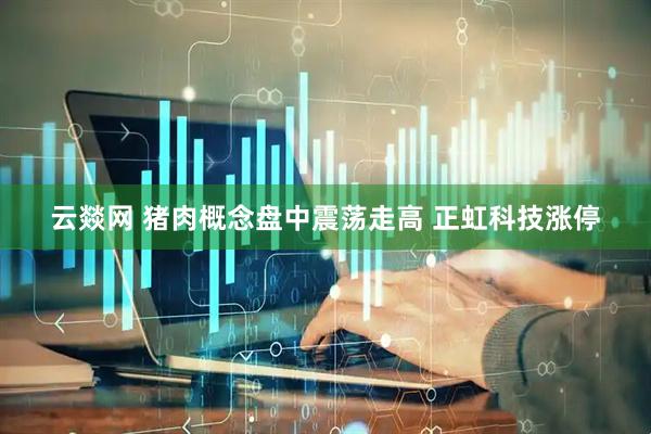 云燚网 猪肉概念盘中震荡走高 正虹科技涨停
