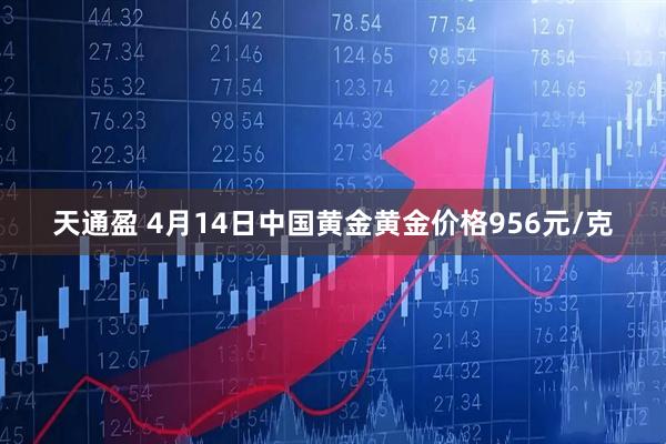 天通盈 4月14日中国黄金黄金价格956元/克