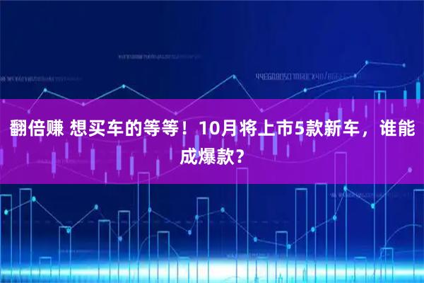 翻倍赚 想买车的等等！10月将上市5款新车，谁能成爆款？