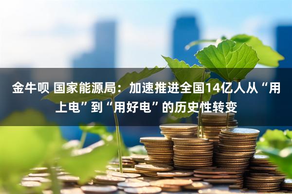 金牛呗 国家能源局：加速推进全国14亿人从“用上电”到“用好电”的历史性转变