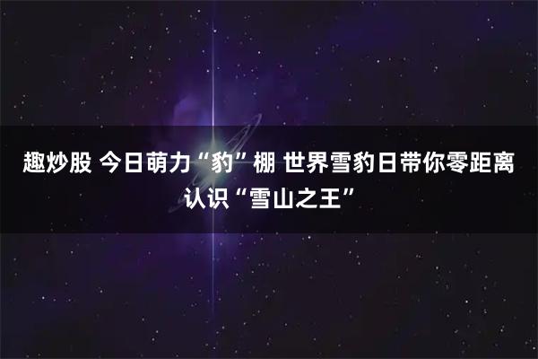 趣炒股 今日萌力“豹”棚 世界雪豹日带你零距离认识“雪山之王”