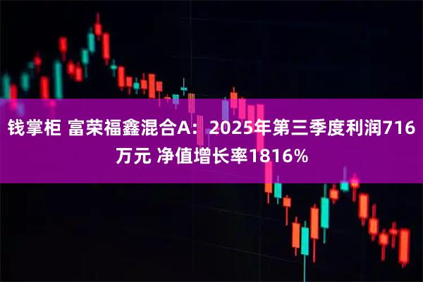 钱掌柜 富荣福鑫混合A:2025年第三季度利润716万元 净值增长率1816%