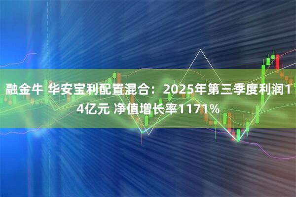 融金牛 华安宝利配置混合:2025年第三季度利润14亿元 净值增长率1171%