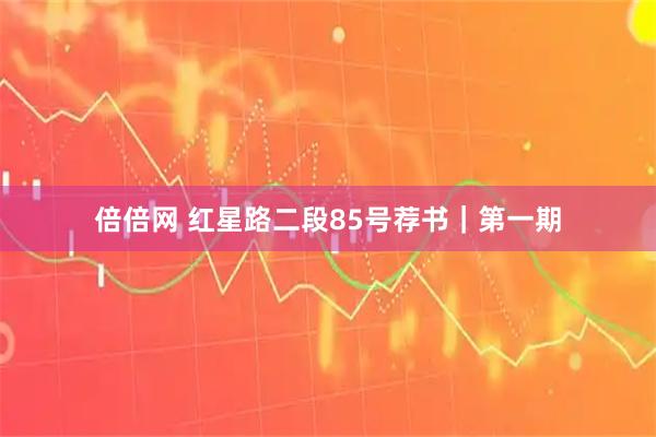 倍倍网 红星路二段85号荐书|第一期